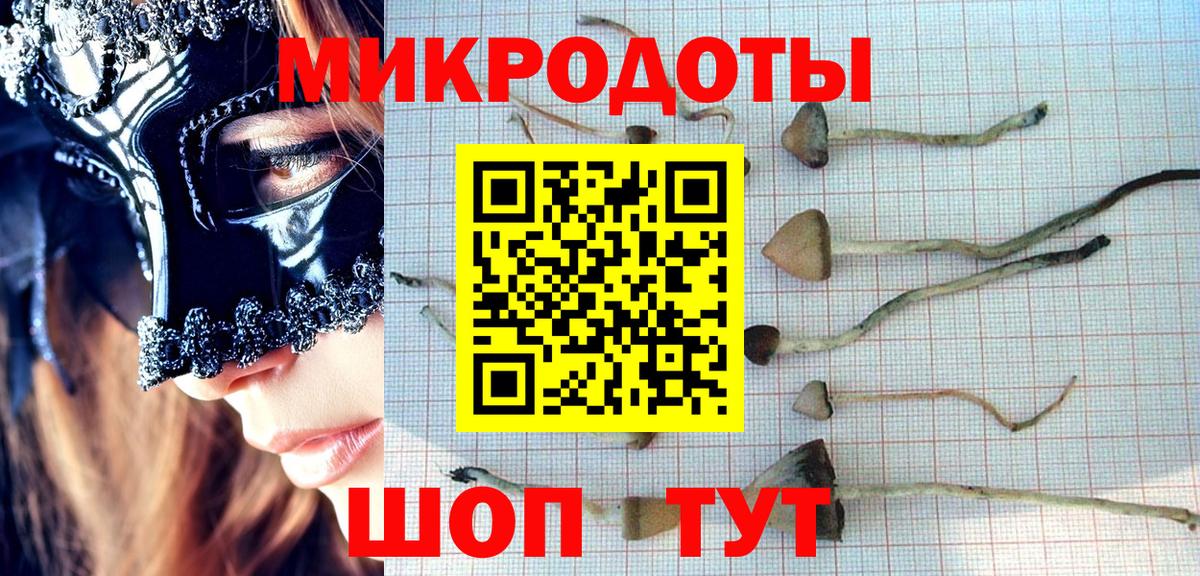 Псилоцибиновые грибы Magic Shrooms  Вход с VPN  Псилоцибиновые грибы Magic Shrooms  Одинцово 