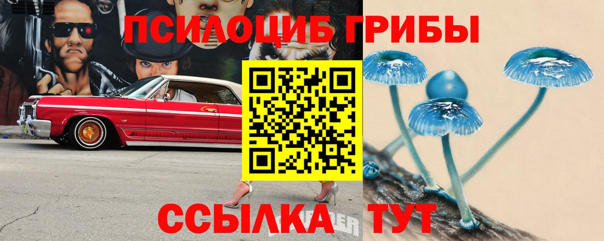 Псилоцибиновые грибы Magic Shrooms Одинцово